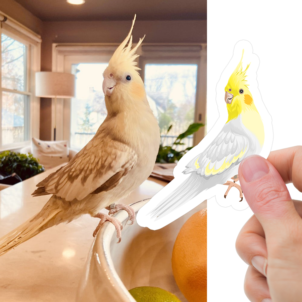 Custom Pet Bird Stickers