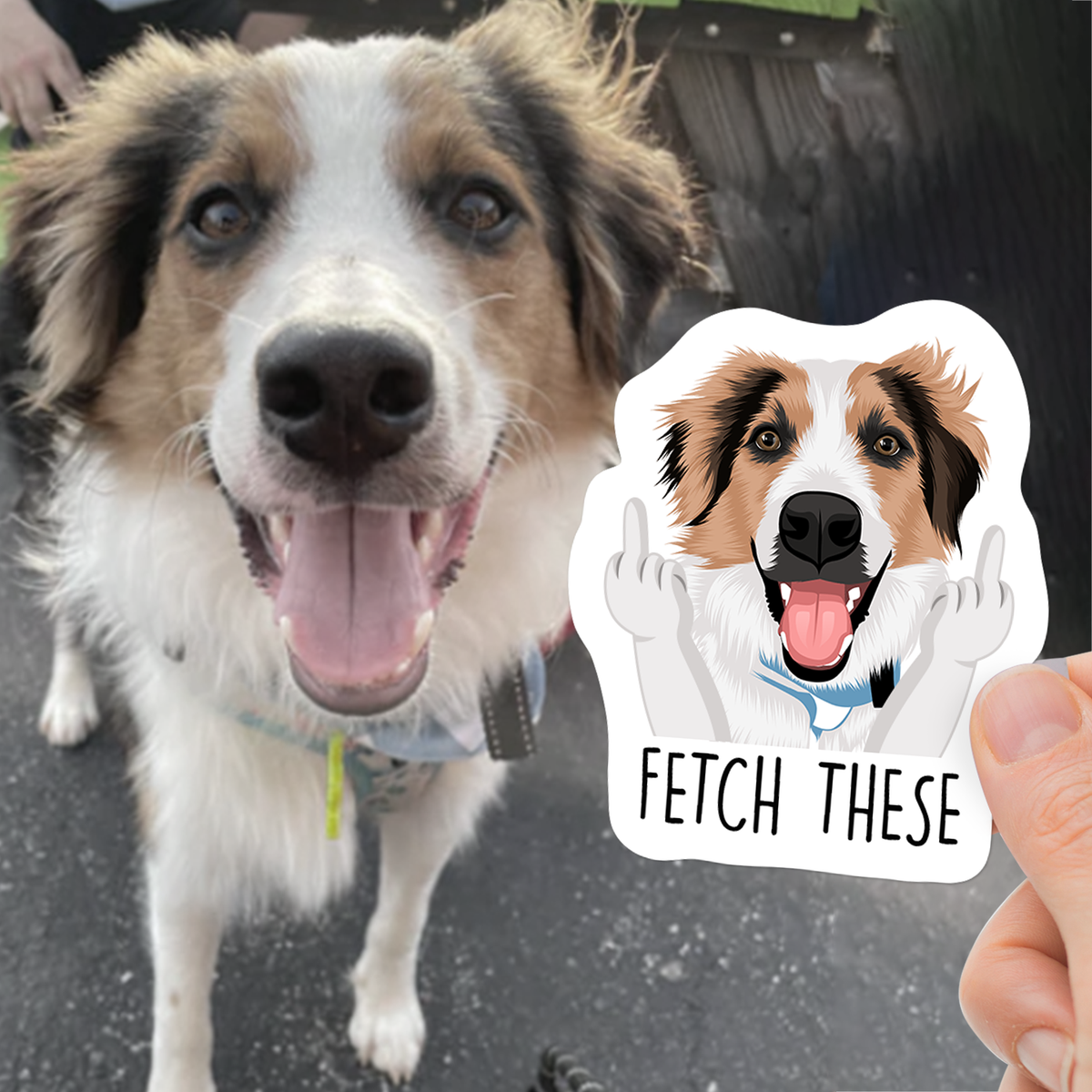 Custom Funny Pet Hand Photo Stickers