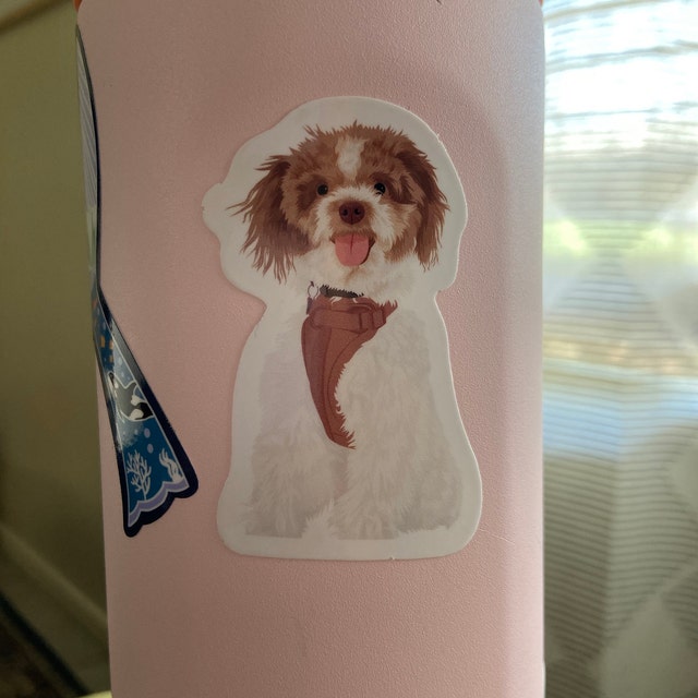 Custom Water Bottle Stickers