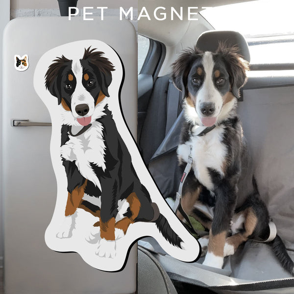 Custom Pet Portrait Magnets