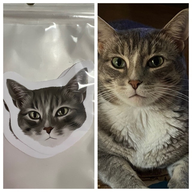 Custom Cat Face Stickers